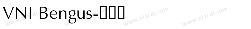 VNI Bengus字体转换